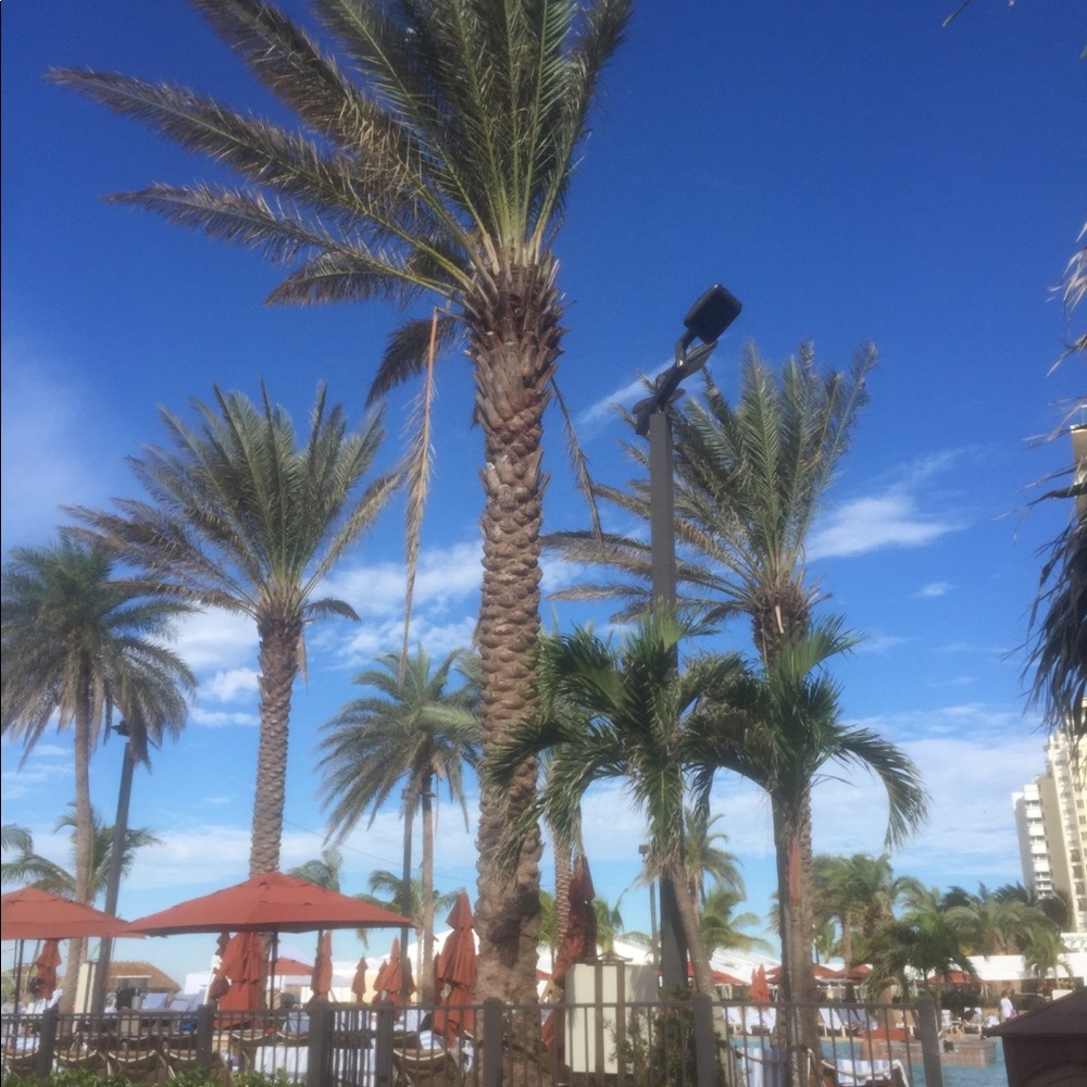 Meet your Posher, Ally